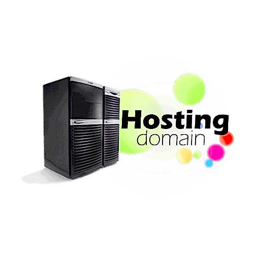 Domain & Hosting 1 Yıl Tescil